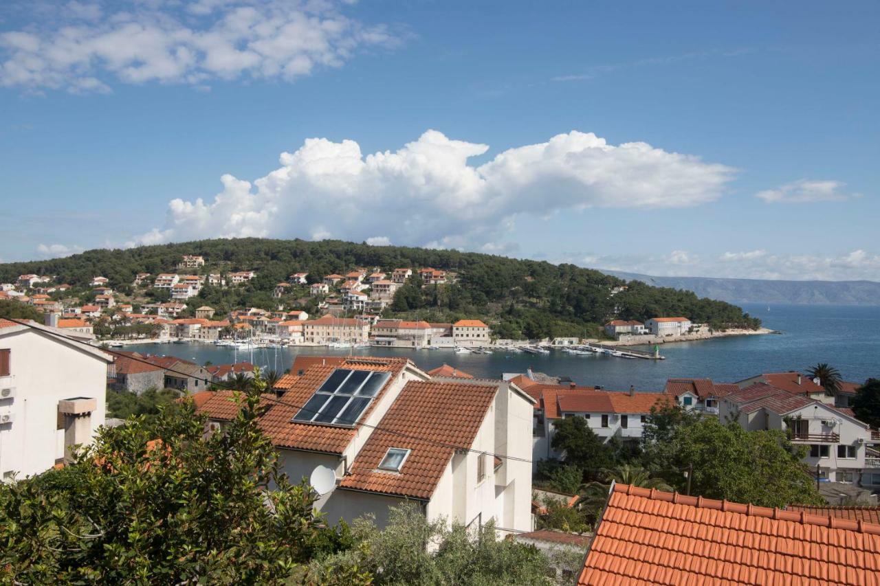 Palma Jelsa (Hvar)
